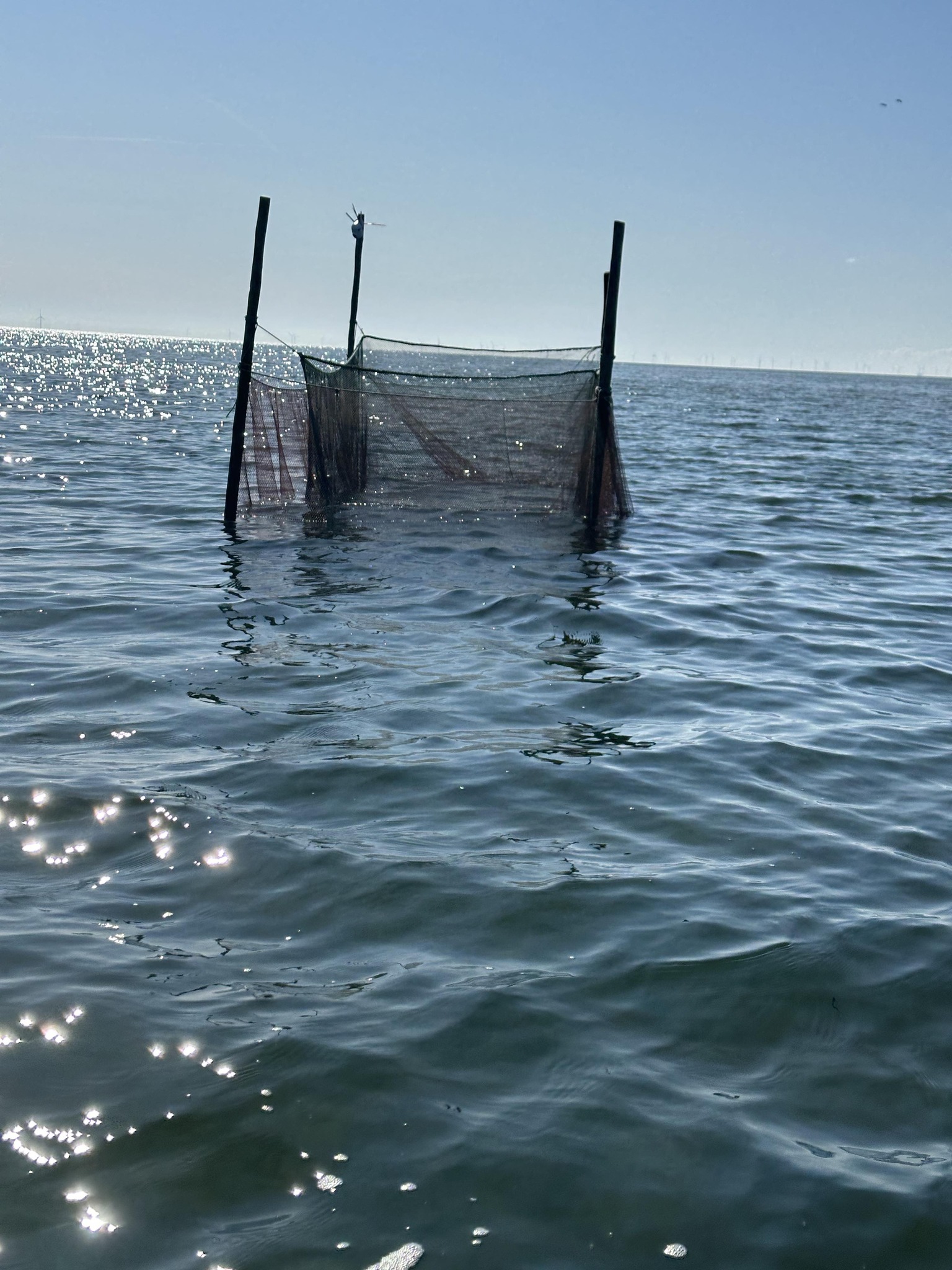 Johnnys ene rejegaard